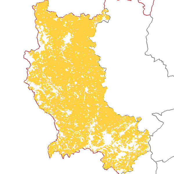 overview