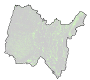 overview