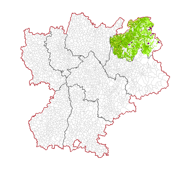 overview
