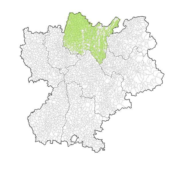 overview