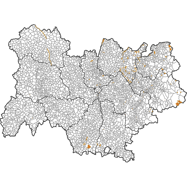 overview