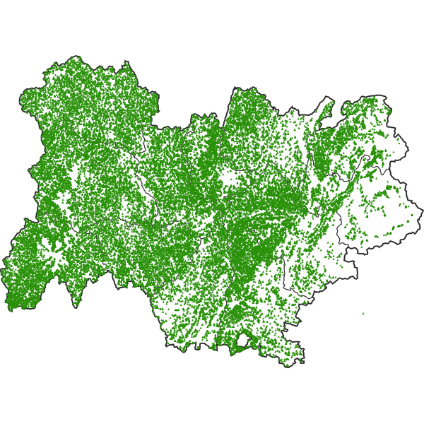 overview