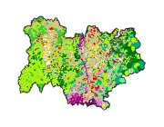 overview
