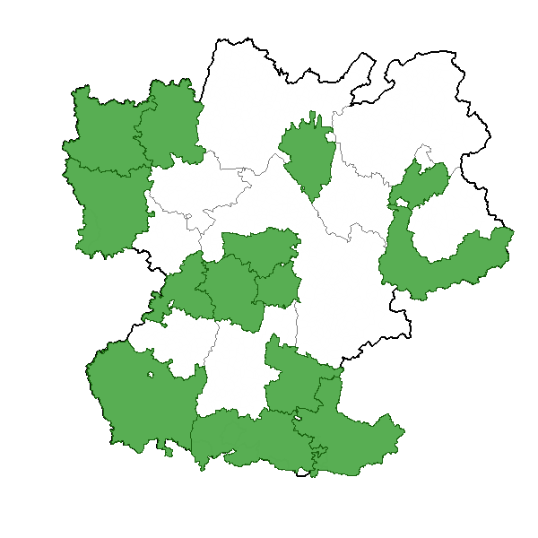 overview