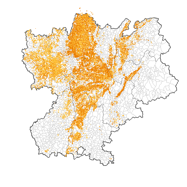overview