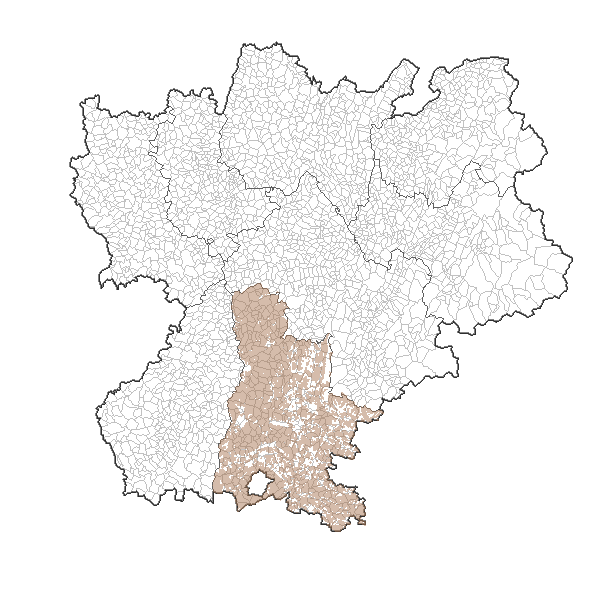 overview