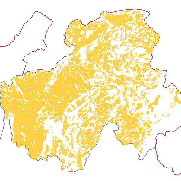 overview