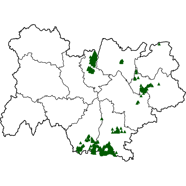 overview