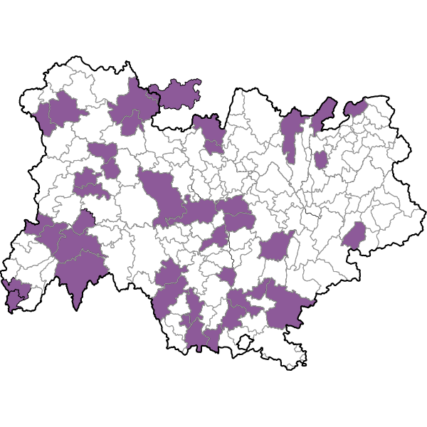 overview