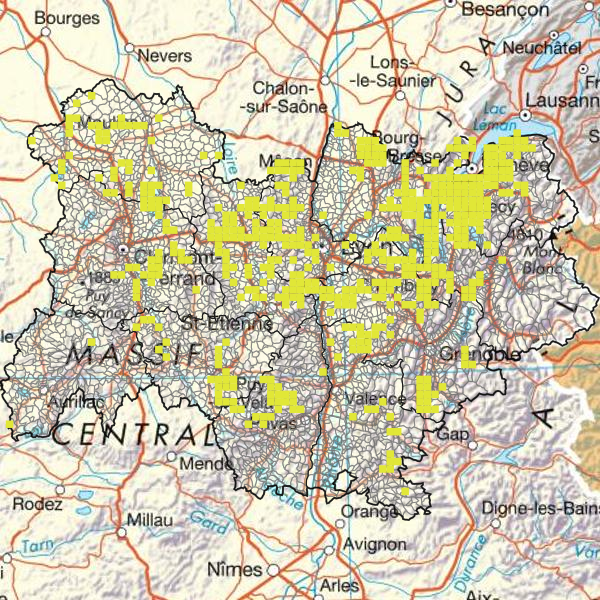 overview