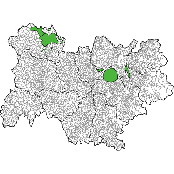 overview