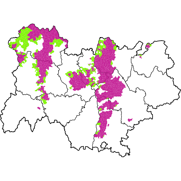 overview