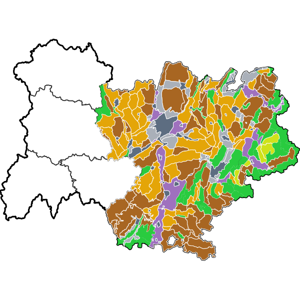 overview