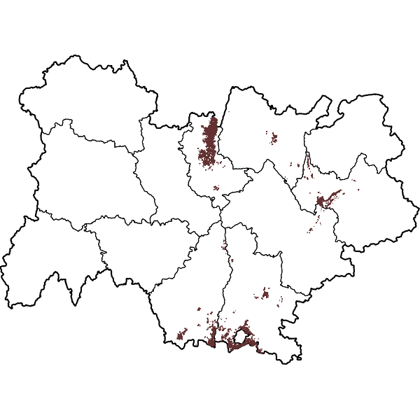 overview
