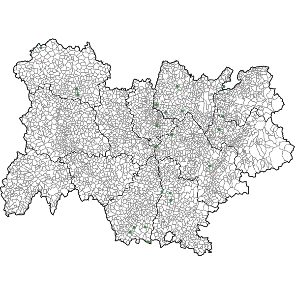 overview