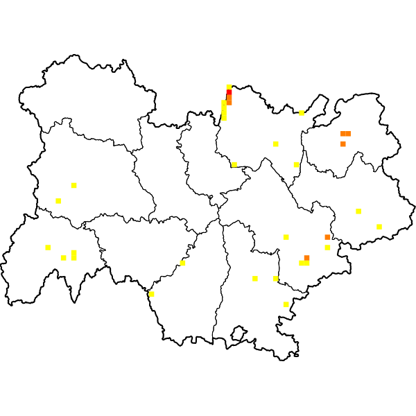 overview