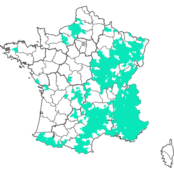 overview