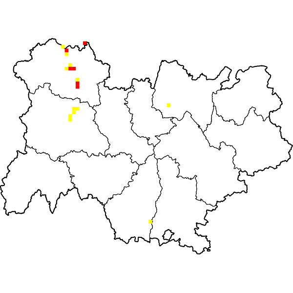 overview