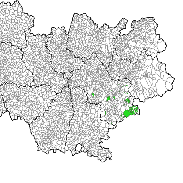 overview