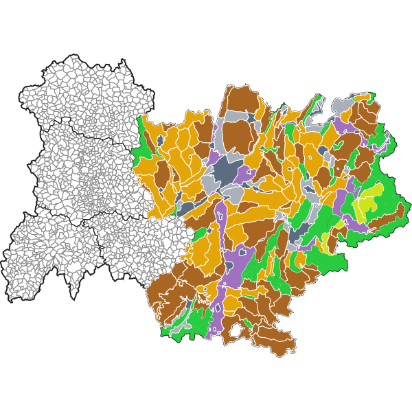 overview