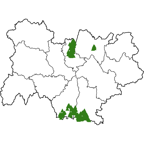 overview