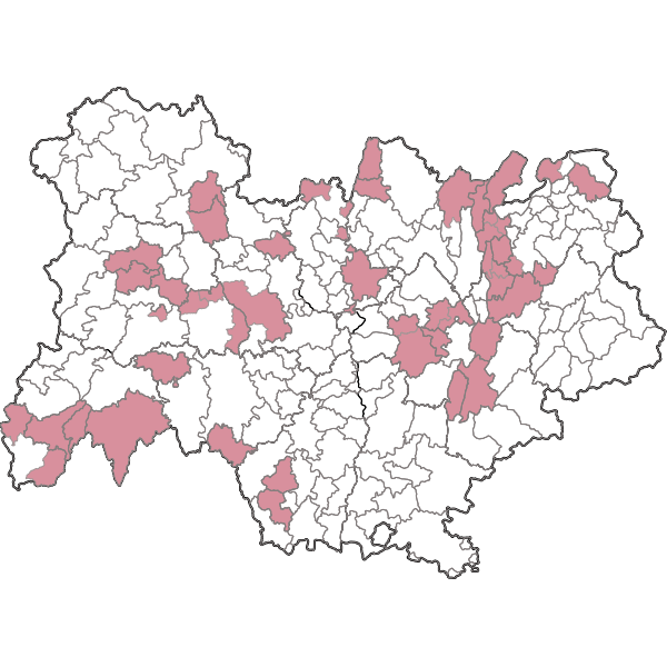 overview