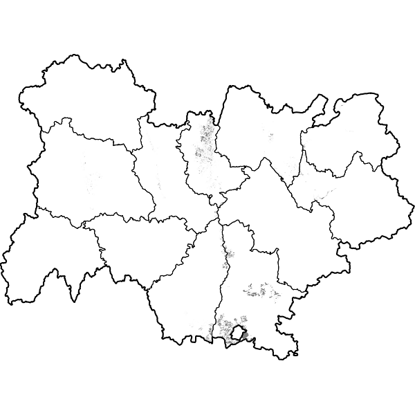 overview