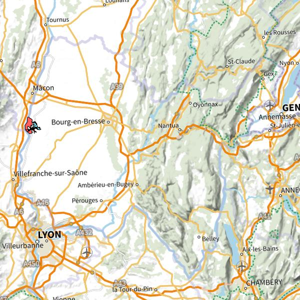 overview